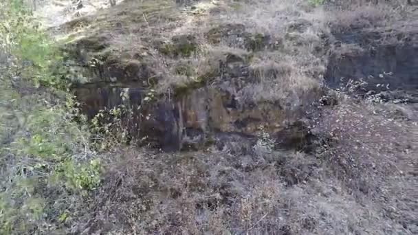 Avions Soufflant Vent Dans Parc National Yosemite — Video