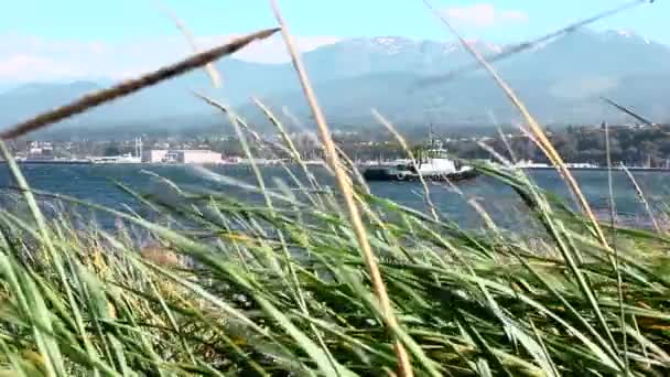 Lassított Felvétel Egy Vontatóhajóról Kikötőben Fűben Port Angelesben Ahol Hegyek — Stock videók