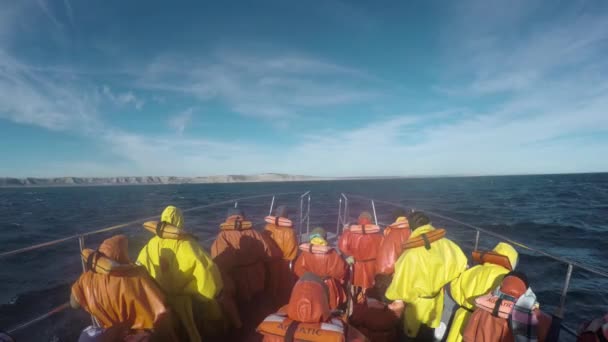 Velryby Patagonie Sledující Avistaje Ballenas Patagonia Barco Loď Cestovní Pobřeží — Stock video