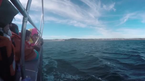 Velryby Patagonie Sledující Avistaje Ballenas Patagonia Barco Loď Cestovní Pobřeží — Stock video