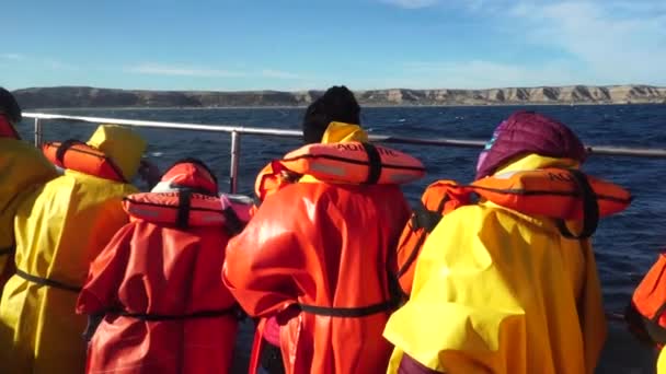 Avistaje Ballenas Patagonia Barco Ship Travel Coast Patagonia Argentina Peninsula — Vídeos de Stock