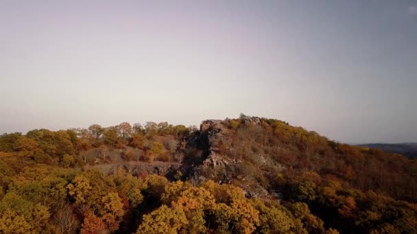 미주리주의 아르카디아 계곡에 셰퍼드 — 비디오