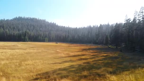 Luftflug Über Eine Grasbewachsene Bergwiese Schwenken Nach Links Mit Bildern — Stockvideo