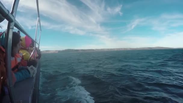 Velryby Patagonie Sledující Avistaje Ballenas Patagonia Barco Loď Cestovní Pobřeží — Stock video