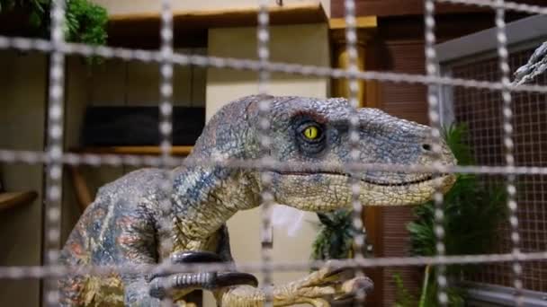 Dinosaurio Robótico Velociraptor Rugiendo Dentro Una Jaula Robot — Vídeo de stock