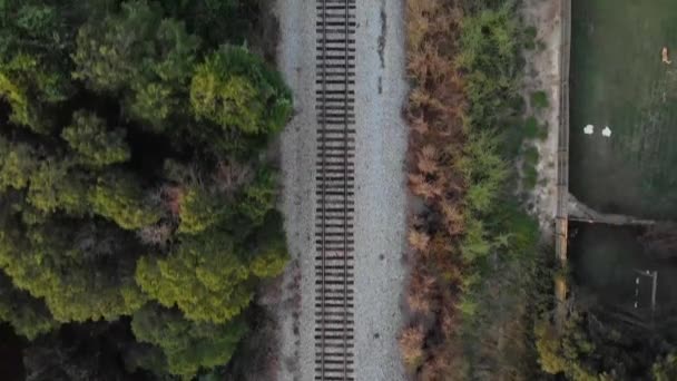 Aerial Drone Mirando Directamente Hacia Abajo Las Vías Del Ferrocarril — Vídeos de Stock