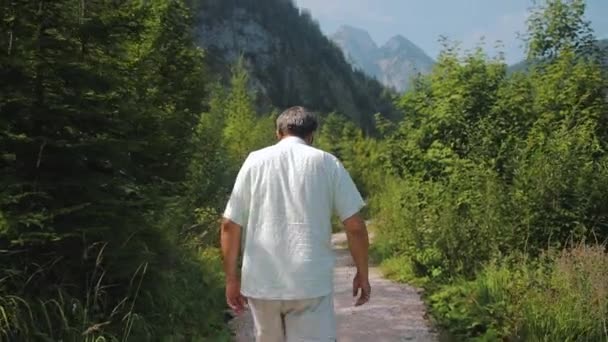 Man Walks Austrian Mountains — Stock Video