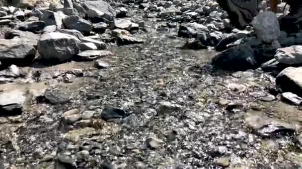 Carino Bambino Che Cammina Gioca Con Pietre Nel Fiume Montagna — Video Stock