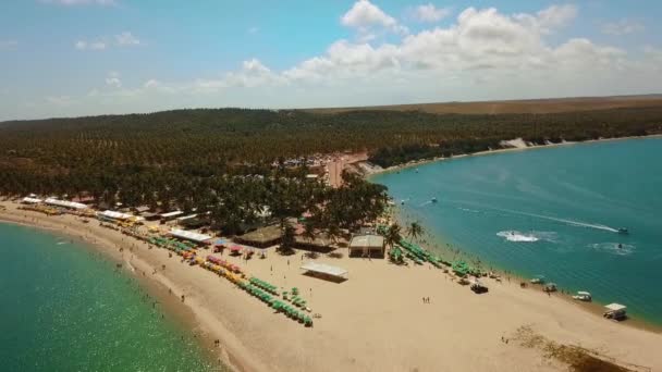 Luftaufnahme Eines Sommertages Einem Paradiesischen Strand Der Nähe Von Macei — Stockvideo