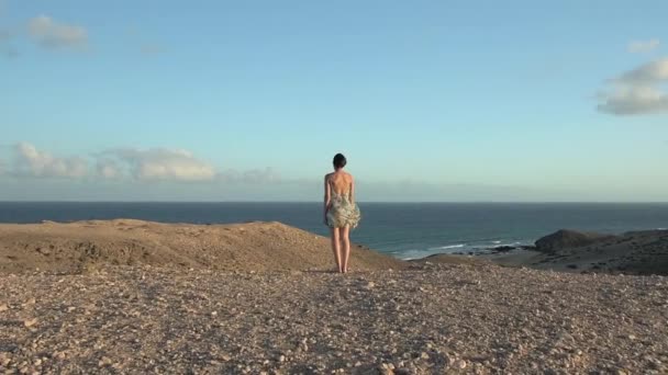 Kvinnan Slutade Titta Över Havet — Stockvideo