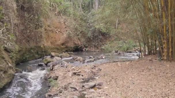 Pequeno Rio Sendo Poluído Por Lixo Humano Perto San Jose — Vídeo de Stock