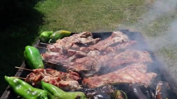 Churrasco Jardim Incline Tiro Uma Grelha Com Bifes Kebabs Pimentas — Vídeo de Stock