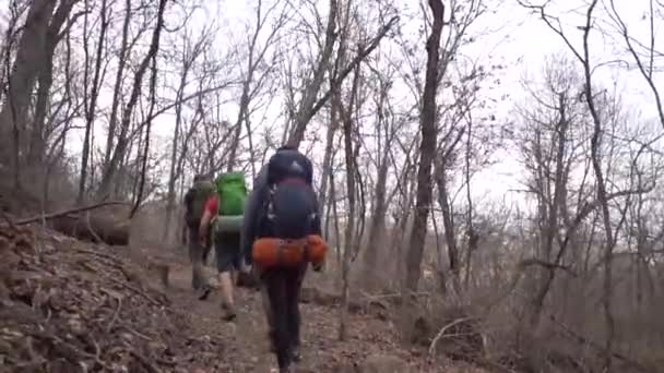 スローモーション森の中を歩くハイカーのグループのローパースペクティブショット — ストック動画