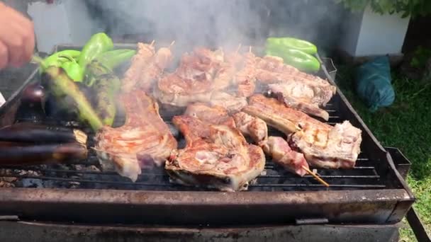 Churrasco Jardim Mão Masculina Vira Pimentas Bifes Kebabs Grelha — Vídeo de Stock