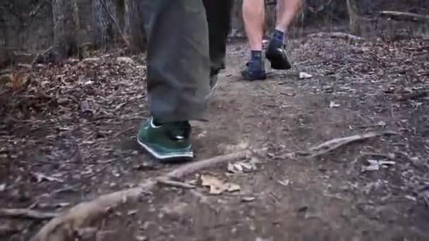 Yavaş Çekim Bir Grup Yürüyüşçünün Ormanda Yürürken Düşük Perspektifli Görüntüsü — Stok video