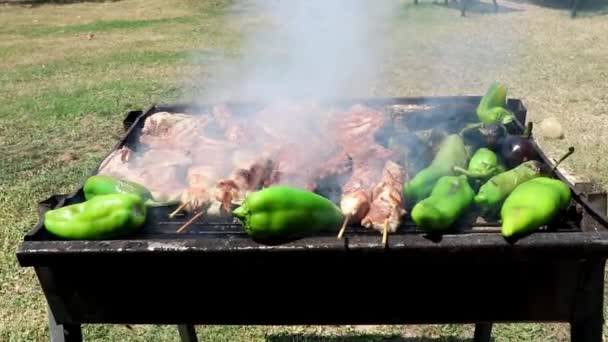 Barbacoa Jardín Filetes Kebabs Pimientos Parrilla — Vídeos de Stock