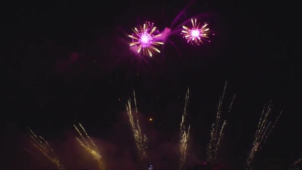 Ein Spektakuläres Feuerwerk Erhellt Den Himmel — Stockvideo