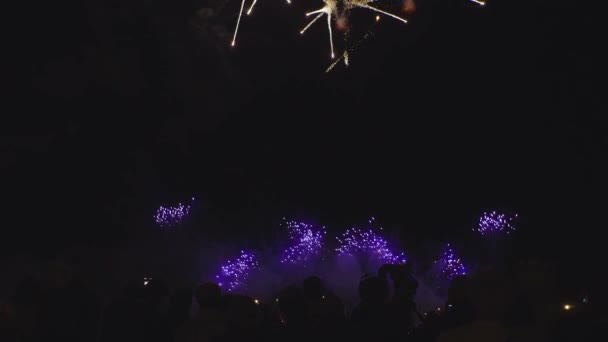 Fuochi Artificio Durante Vacanze Video — Video Stock