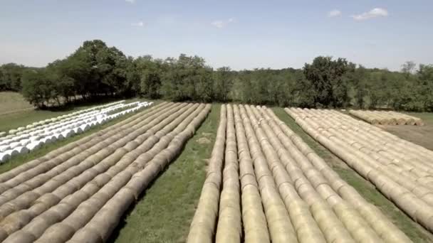 Nagranie Dronów Setek Okrągłych Bel Słomy Europejskiej Farmie Połowie Lata — Wideo stockowe