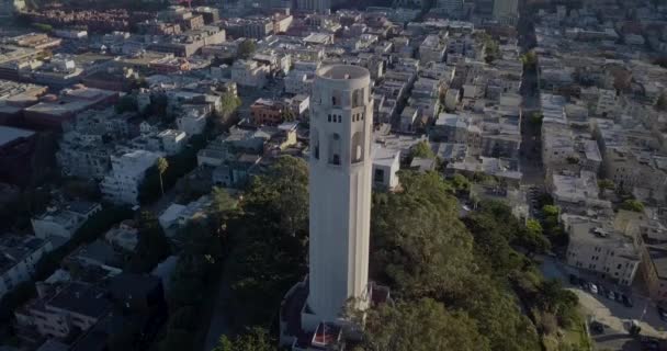 旧金山Coit塔的空中录像 背景是市中心 — 图库视频影像