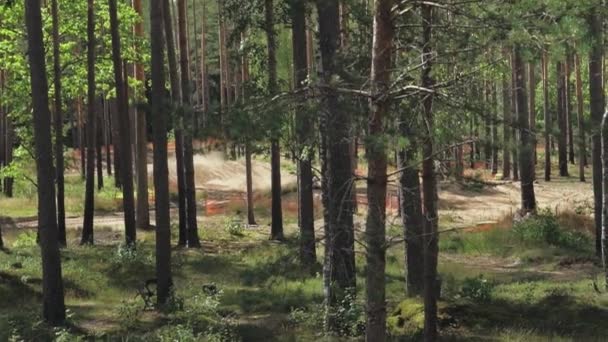 Fyrhjuling Skogen Slomo — Stockvideo