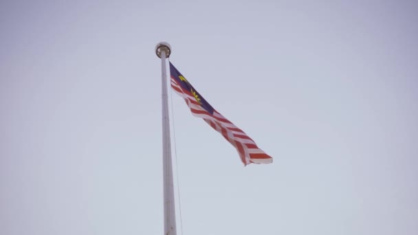 Art Slow Motion Flag Malaysia — Stock Video