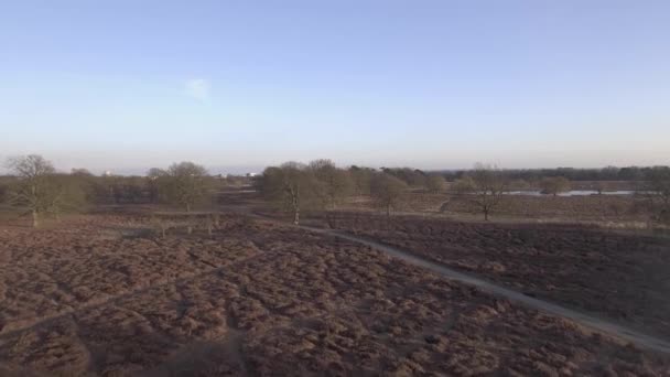 Imagens Aéreas Formam Parque Londres Outono — Vídeo de Stock