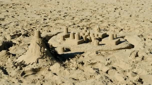 Sandcastles Ocean Beach New Zealand — Stock Video