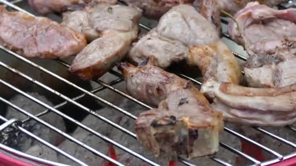 Lamskoteletten Een Emmer Bbq Barbecue Barbecue Rozemarijn Zout Olijfolie — Stockvideo