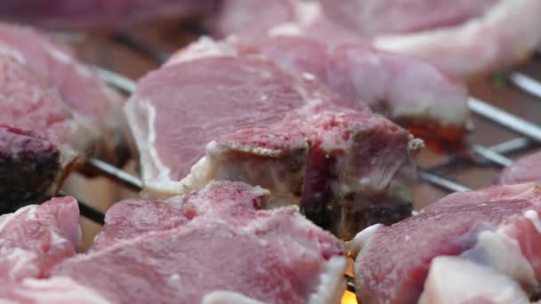 Lamskoteletten Een Emmer Bbq Barbecue Barbecue Rozemarijn Zout Olijfolie — Stockvideo