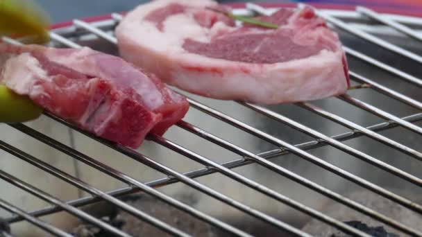 Lammkoteletts Auf Einem Eimer Grill Grill Grill Rosmarinsalz Und Olivenöl — Stockvideo