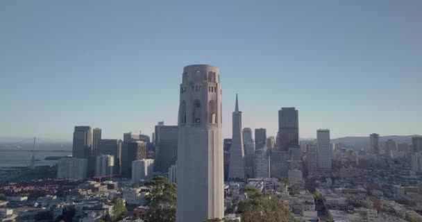 Luftaufnahmen Vom Coit Tower San Francisco Mit Der Innenstadt Hintergrund — Stockvideo