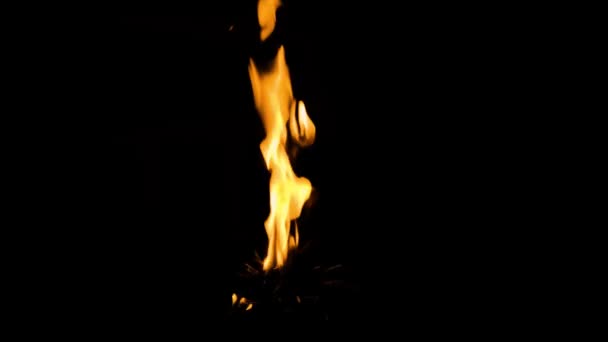 Eine Lange Flamme Steigt Auf Und Flackert Vor Dunklem Hintergrund — Stockvideo