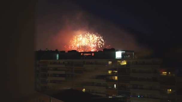 Fuegos Artificiales Durante Las Vacaciones Vídeo — Vídeo de stock