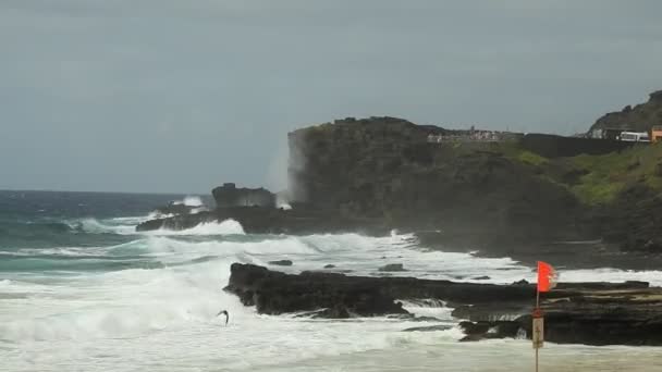 Sandy Beach Halona Blow Hole Honolulu Hawaï — Video