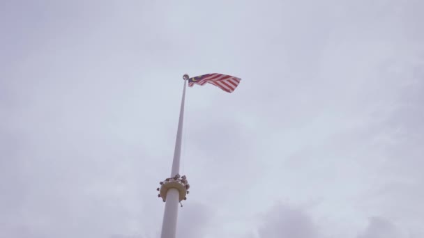 Arte Cámara Lenta Bandera Malaysia — Vídeos de Stock