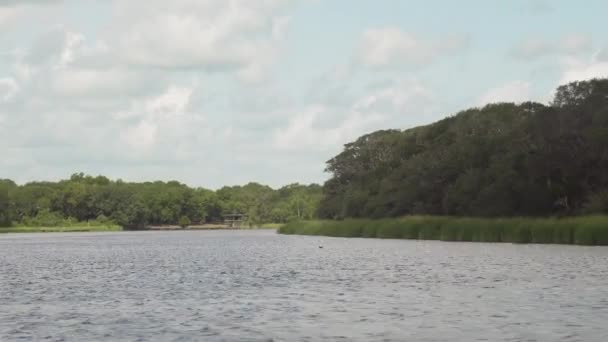 Szybowce Nad Wodą Patrzą Wstecz Zakręt Rzece Postrzelony Nad Rzeką — Wideo stockowe