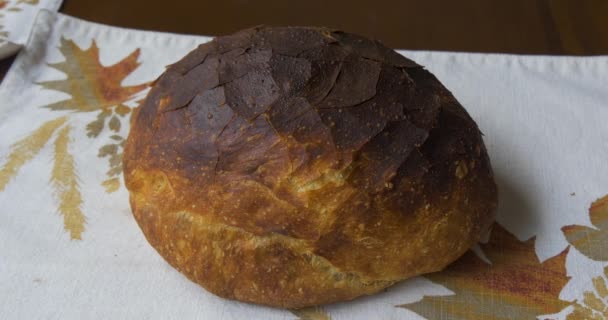Ekmek Taze Pişmiş Yakın Plan — Stok video
