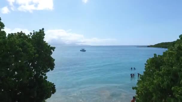 Grand Cul Sac Marin Guadalupe Port Louis Drone — Vídeo de Stock