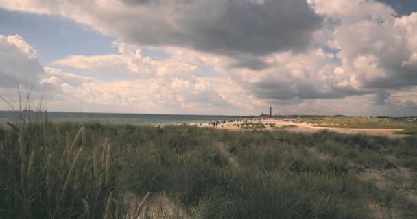 Дюні Данії — стокове відео