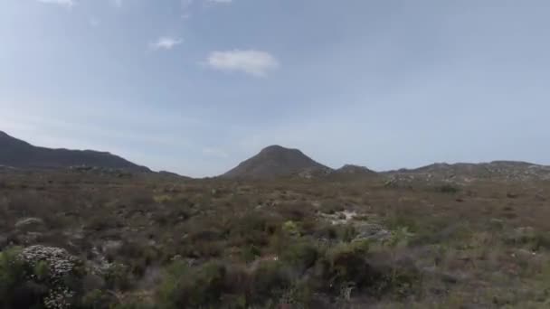 Conduciendo Por Península Del Cabo Fynbos — Vídeos de Stock