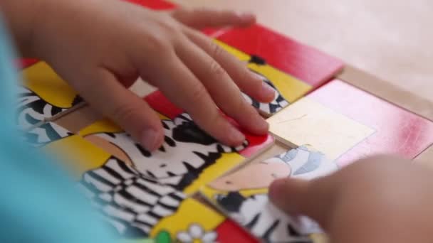 Piccolo Bambino Che Gioca Gioco Puzzle Con Uno Zebra Close — Video Stock