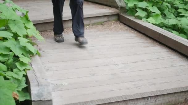 Suave Toma Cámara Lenta Las Botas Excursionista Camino Naturaleza Pie — Vídeos de Stock