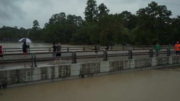 Piétons Sur Pont Pendant Ouragan Harvey Houston Texas Les Gens — Video