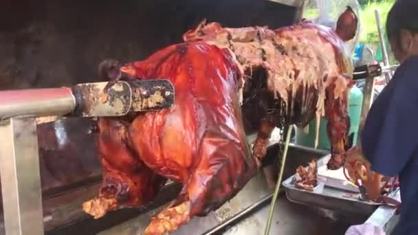 Uma Mulher Está Preparando Descascado Carne Porco Leitão Grelhado Inteiro — Vídeo de Stock