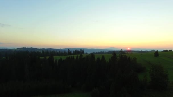 ザコパネの夕日 トウヒの隣の緑の牧草地で 背景にタトラ山 ドローン撮影 — ストック動画