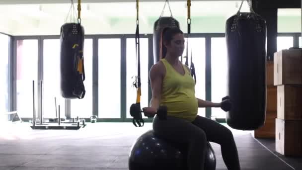Schwangere Model Trainiert Fitnessstudio Mit Gewichten Sich Vierten Trimester Fit — Stockvideo