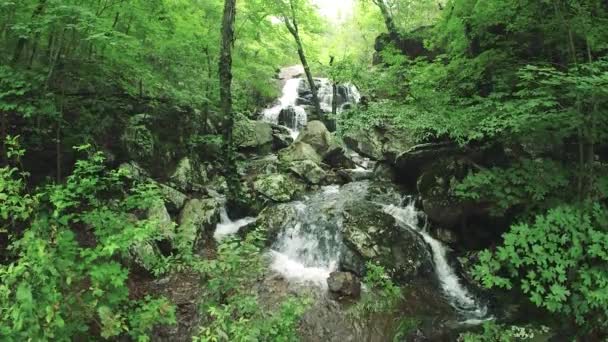 Wodospad Ulewnych Wiosennych Deszczach — Wideo stockowe