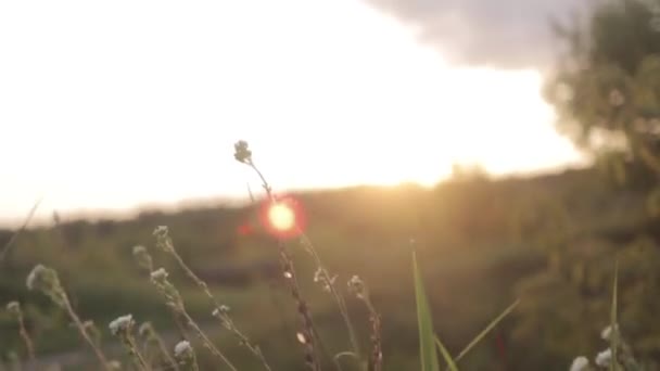 Sonnenuntergang Natur Polen Erstaunliche Szene — Stockvideo