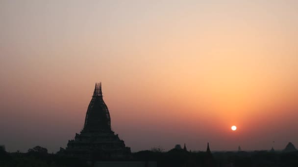 Nascer Sol Bagan Com Pássaros Voando Sobre Templos Estupas Entre — Vídeo de Stock